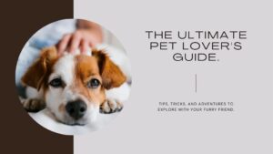 The Ultimate Pet Lover's Travel Guide